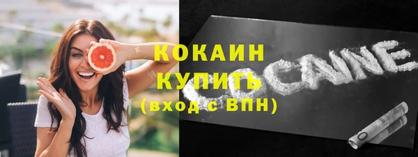 ПСИЛОЦИБИНОВЫЕ ГРИБЫ Вязники